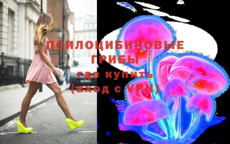 Псилоцибиновые грибы Psilocybe  Тара 